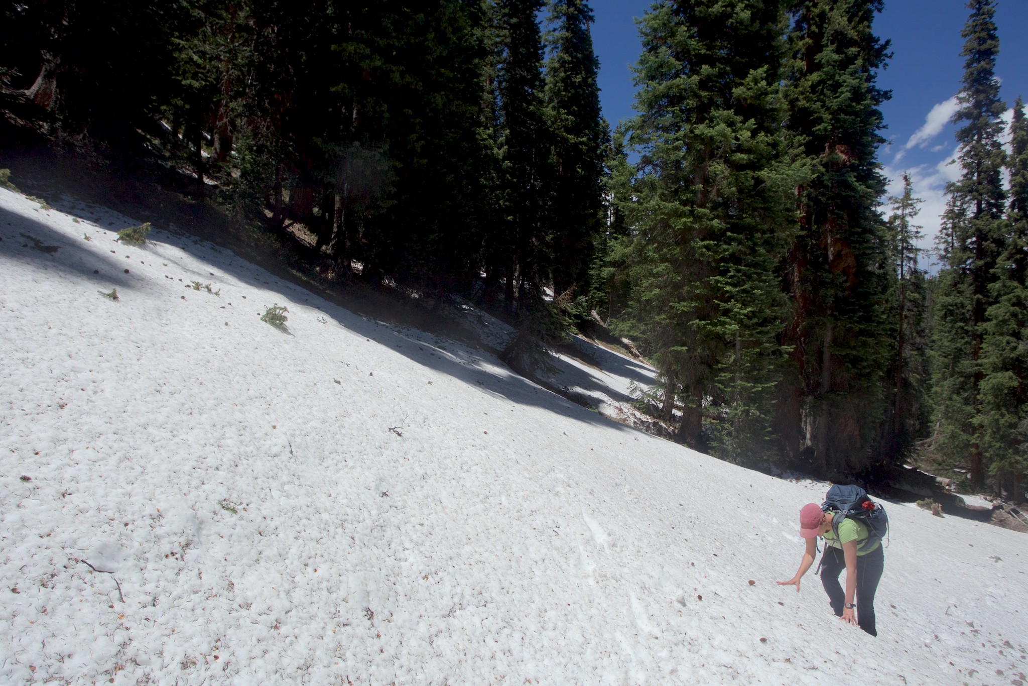 Snow, hail, and mortality on the mountain