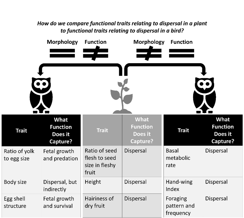 New Lab Paper: Unifying Functional Trait Approaches – Macrosystems ...