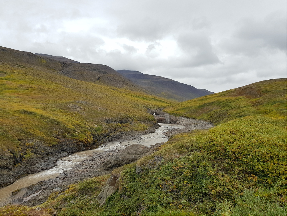 New lab PNAS paper by Lars: Warming tundra and the emission of volatile organic compounds