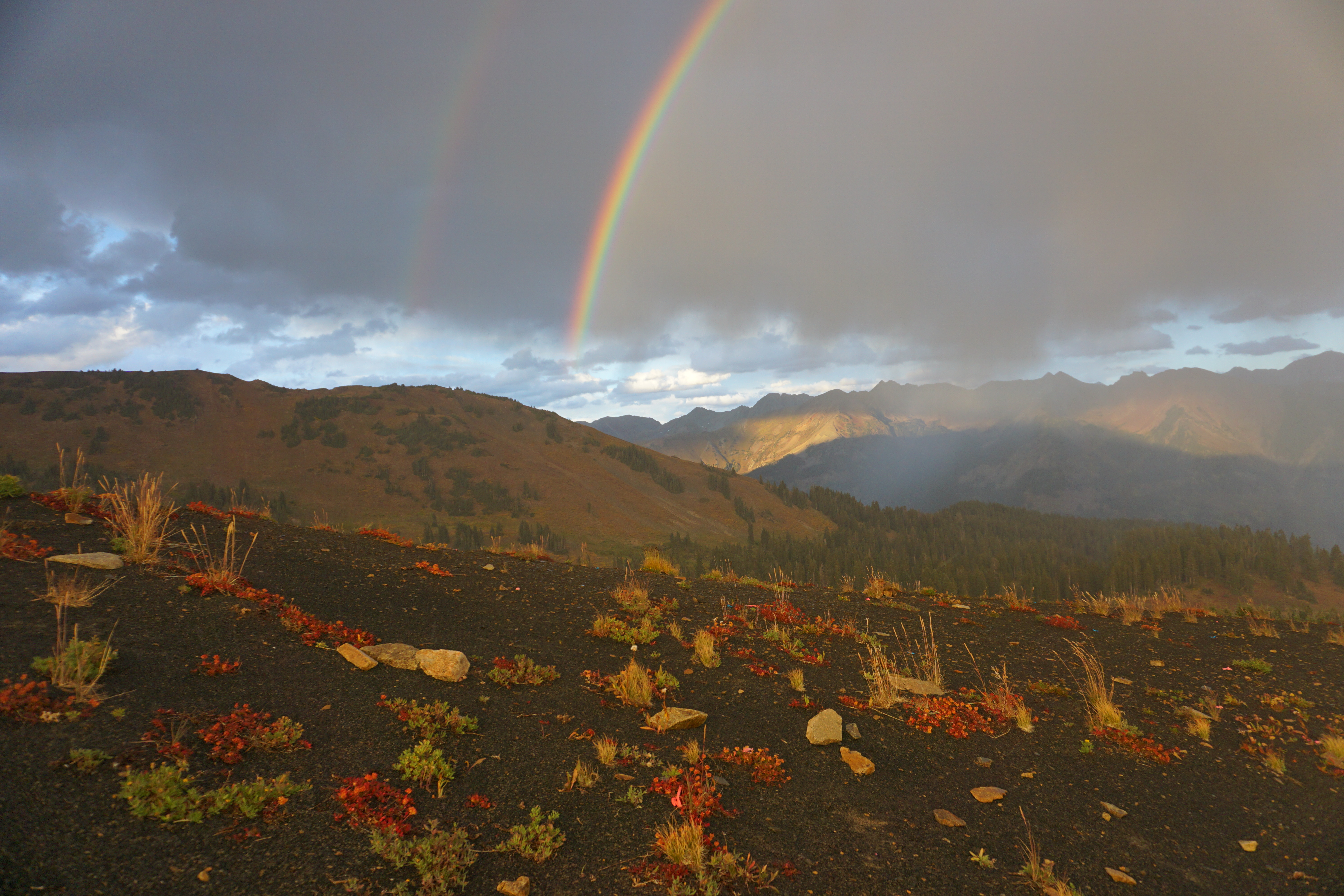 A double rainbow over alpine plant vegetation at Mt Baldy