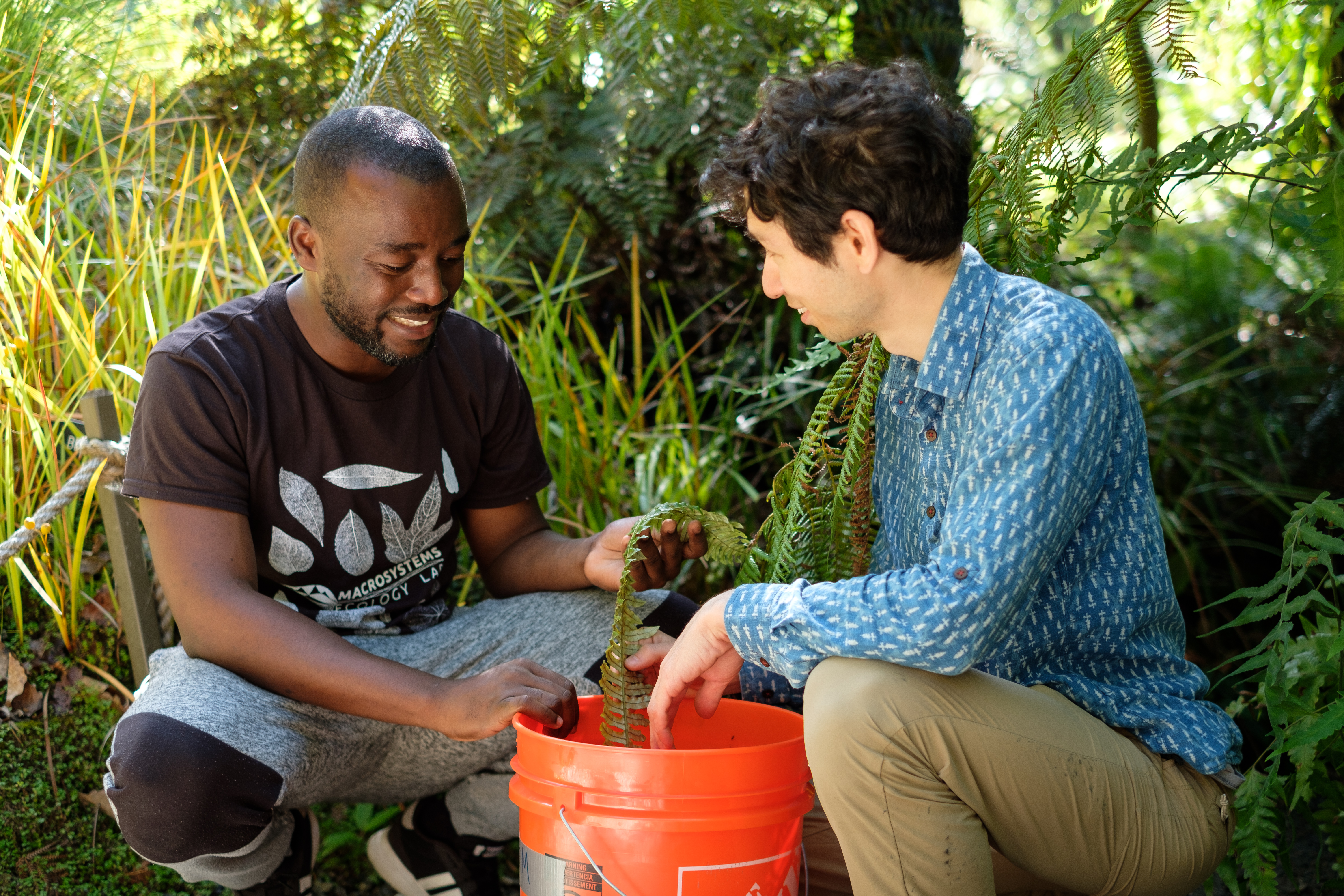 #AGU22: presentation by lab student Mickey Boakye on fern evolution/ecophysiology