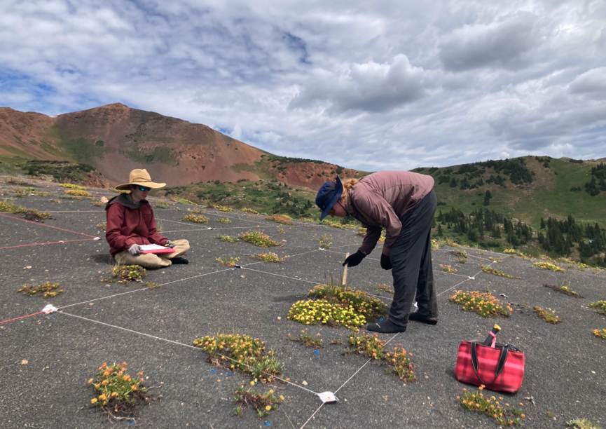 Two people sit at an alpine site and are using a ruler.